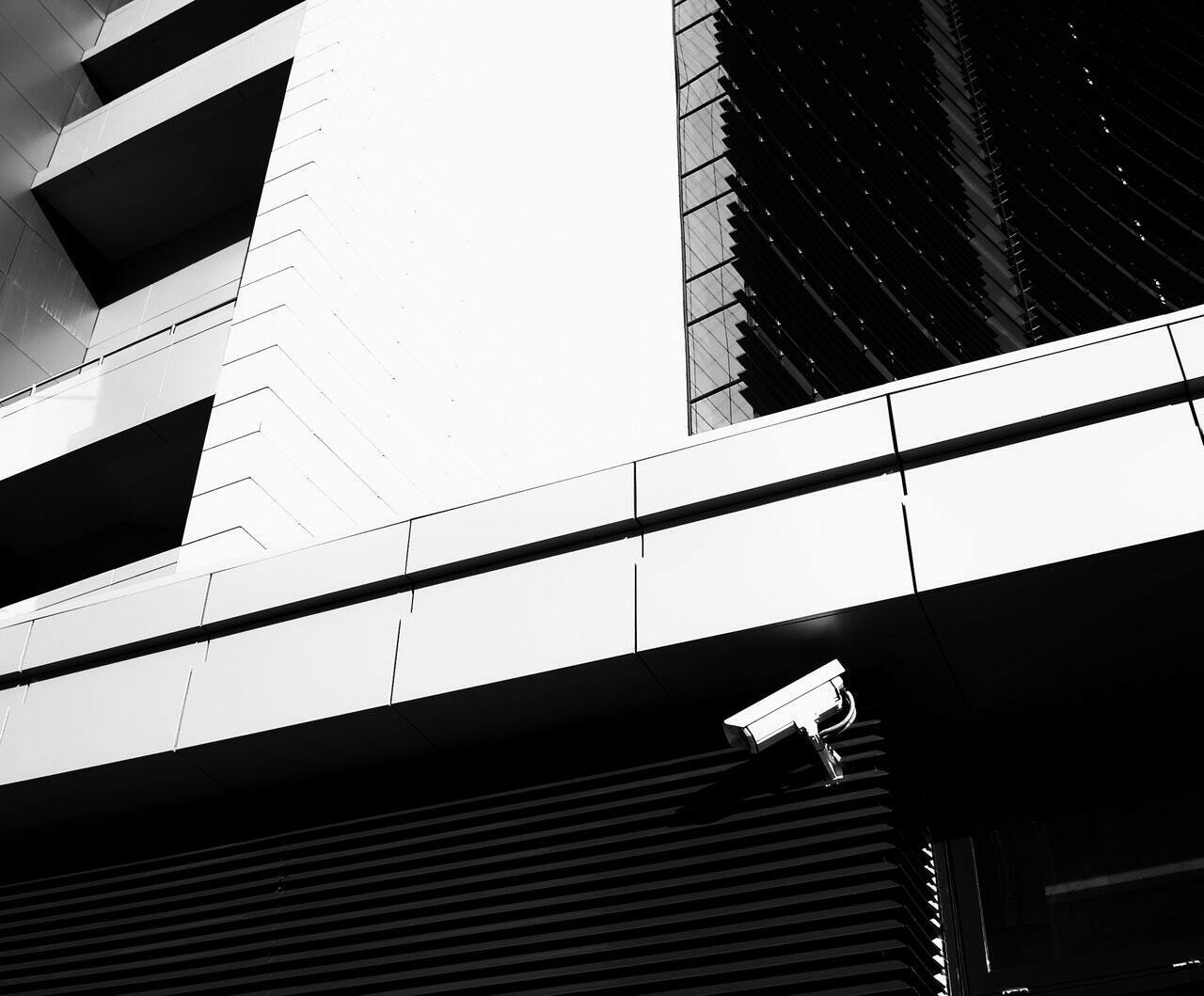 a bird on a roof
